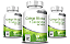 3 unid - Ginkgo Biloba + Castanha da Índia 500mg 60caps - 4 Elementos - Imagem 1