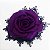 Rosa para Cabelo - Super luxo - Roxa - Imagem 1