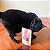 Kit Matatabi em Gravetos + Catnip - Imagem 2