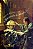 A HARMONIA DO MUNDO - GLEISER, MARCELO - Imagem 1