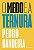 O MEDO E A TERNURA - BANDEIRA, PEDRO - Imagem 1