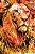 BÍBLIA NTLH YOUVERSION THE LION FOGO - MAQUINARIA SANKTO - Imagem 1