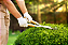 Jardinagem Profissional - Imagem 1