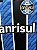 CAMISA DO GRÊMIO 2020 TRICOLOR S/N - G - Imagem 8