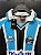 CAMISA DO GRÊMIO 2001 TRICOLOR #10 - GG (MANGA LONGA) - Imagem 11