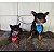 Gravata pet luxo - 10 Gravatas dupla de luxo linda para Pet cachorro macho porte medio a grande - Gravatinha cachorro - Imagem 4