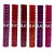 Lip Gloss Natural Effect Matte Beauty Febella BM4018 - Kit c/ 06 unid - Imagem 1