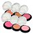 Blush Studio Max Love - Kit c/ 06 unid - Imagem 2