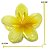 Presilha para Cabelo Flor Média - Imagem 5