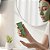 Máscara Facial Pocket Kaolin Argila Branca Kaolin + Chá Verde 30g Kyráv 795 - Imagem 5