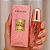 PERFUME FEMME FATALE POUR FEMME 30MLVERNISSAGE - KIT C/ 03 UNID - Imagem 5