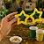Oculos Verde e Amarelo Copa - Imagem 6