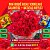 Buquê Papel Celofani com Rosas Vermelhas - Imagem 6