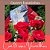 Buquê Papel Celofani com Rosas Vermelhas - Imagem 10