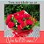 Buquê Papel Celofani com Rosas Vermelhas - Imagem 5