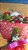 Buquê Papel Celofani com Rosas Vermelhas - Imagem 4