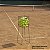 Cesto de Bolas Tenis, Beach Tennis e Padel 85 Bolas - Imagem 2