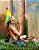 Caboclo - Imagem 3