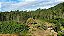 Sítio / 2 Hectares! - Imagem 14