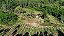 Sítio / 2 Hectares! - Imagem 16