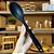 Colher de Silicone - cores diversas - Imagem 2