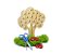 Alinhavo Madeira Árvore Macieira (3 anos+) - Imagem 2