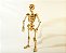 Quebra-cabeça 3D Esqueleto Humano (6 anos+) - Imagem 1