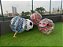 FUTEBOLHAS (Futebolão Humano / Bubble Soccer / Bumper Ball) (Tamanho M e G) - Imagem 8