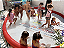 BANHO DA ESPUMA no PARQUE WOW (mini-toboágua e piso circular) (área: 3,6m) (Mini Tobogã: 3m x 2,5m / altura: 1,2m / Piso Splash: 3,6m) - Imagem 6