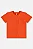 Conjunto Infantil Masculino com Camiseta e Short Animais (Laranja) Up Baby - Imagem 3