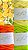 Kit Verão 1  - Amarelo Bebê, Laranja e Verde Lima 35mm + 1 cheirinho aromatizador GRÁTIS - Imagem 3