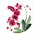 Conjunto Coordenado Orquídea - Miklos Design - Imagem 4