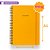 Sketchbook Sem Pauta 90G A4 Folhas Reposicionáveis Yellow Sunshine - Imagem 1