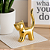 Gatinho Dourado - Imagem 4