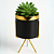 Vaso para Suculenta Ceramica com Suporte Dourado Decorativo - Imagem 2