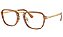 ARMAÇÃO PERSOL 3331-V 960 52 FEMININO - Imagem 2