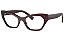 ARMAÇÃO DOLCE & GABBANA ACETATO DG3385 3045 54 - Imagem 2