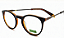 ARMAÇÃO BENETTON ACETATO BEO1204 UNISEX - Imagem 1