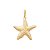 Pingente Estrela Do Mar - Folheado A Ouro - Imagem 1