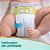 Fralda Infantil Pampers Premium Care RN+ com 20 unidades - Imagem 3