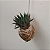 Kokedama de Suculenta Rabo de Tatu Acabamento Barbante Fio Cru - Imagem 9