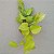 Kokedama de Jiboia Neon Acabamento Barbante Fio Cru - Imagem 3