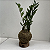 Kokedama De Mini Zamioculca Acabamento Neutro Com Suporte - Imagem 7