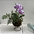 Kokedama duo de Orquídea Phalaenopsis com Renda Francesa Acabamento Neutro com Suporte Preto - Imagem 3
