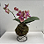 Kokedama de Orquídea Mini Phalaenopsis (Bailarina) Laranja Acabamento Neutro com Suporte Preto - Imagem 8