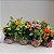 Kit 10 Mini Kokedamas de Kalanchoe com Folhagem Variadas - Imagem 4