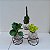 Kit 3 Kokedamas: peperomia verde, peperomia neon e cacto com suporte - Imagem 3