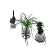 Kit 3 Kokedama: Peixinho, Pata De Elefante E Cacto com suporte - Imagem 1