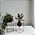 KIT KOKEDAMA: MINI ANTÚRIO E HERA ESTRELA COM SUPORTE GRANDE - Imagem 6