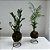 KIT KOKEDAMA MINI PALMEIRINHA E MINI ZAMIOCULCA C/ SUPORTE - Imagem 3